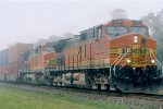 BNSF 4189 West